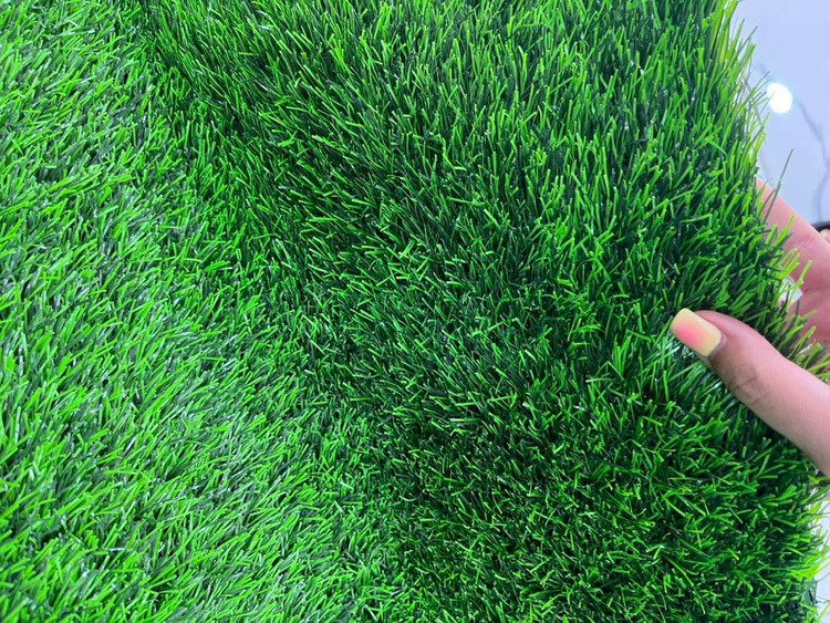 ارکیده ۳۰ میل